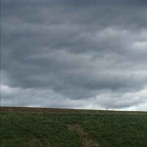 Meet your Posher, Zoe